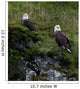Portrait Of Two Bald Eagles Resting On A Cliff In Kukak Bay Wall Mural