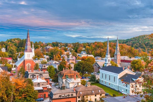 Montpelier Vermont Usa Skyline Wall Decal