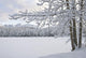 View Of Snow Covered Cheney Lake On A Winter Afternoon Wall Mural