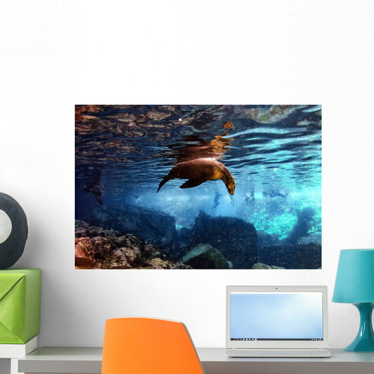 Galapagos Sea Lion Underwater Wall Decal