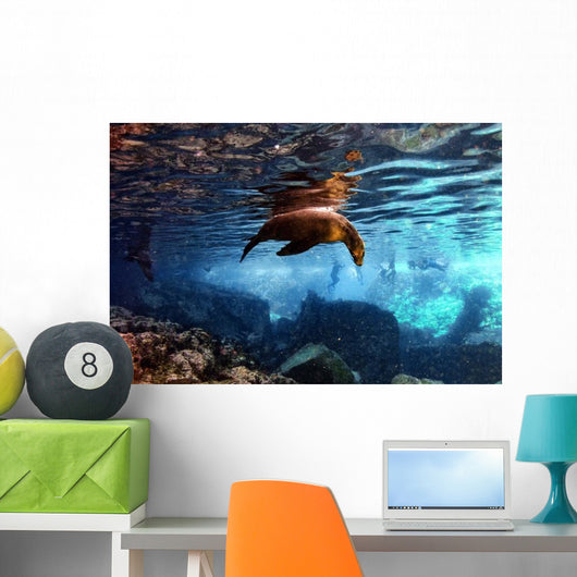 Galapagos Sea Lion Underwater Wall Decal