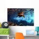 Galapagos Sea Lion Underwater Wall Decal