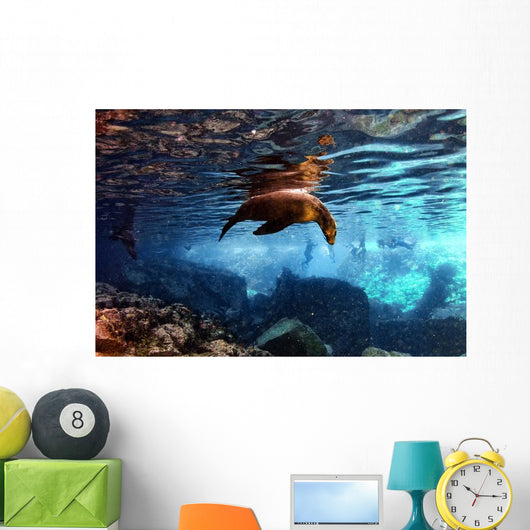 Galapagos Sea Lion Underwater Wall Decal