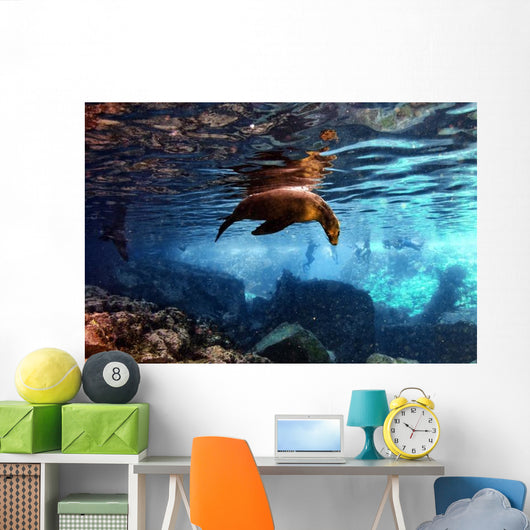 Galapagos Sea Lion Underwater Wall Decal