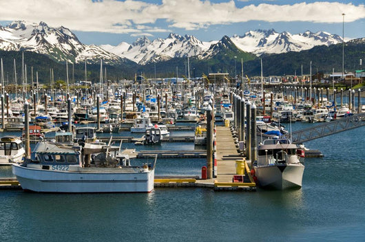 Scenic View Of The Homer Small Boat Harbor With The Kenai Mountains Wall Mural