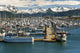 Scenic View Of The Homer Small Boat Harbor With The Kenai Mountains Wall Mural