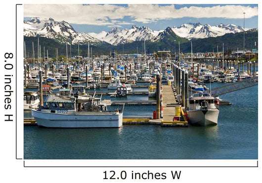 Scenic View Of The Homer Small Boat Harbor With The Kenai Mountains Wall Mural