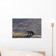Grizzly Bear Walking On Ridge With Mountainside Wall Mural