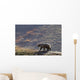 Grizzly Bear Walking On Ridge With Mountainside Wall Mural