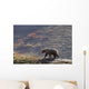 Grizzly Bear Walking On Ridge With Mountainside Wall Mural