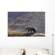 Grizzly Bear Walking On Ridge With Mountainside Wall Mural