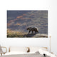 Grizzly Bear Walking On Ridge With Mountainside Wall Mural