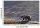 Grizzly Bear Walking On Ridge With Mountainside Wall Mural