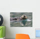 Sea Otter Swimming In Glassy Calm Green Water With Reflection Wall Mural
