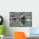Sea Otter Swimming In Glassy Calm Green Water With Reflection Wall Mural