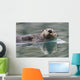 Sea Otter Swimming In Glassy Calm Green Water With Reflection Wall Mural