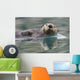 Sea Otter Swimming In Glassy Calm Green Water With Reflection Wall Mural