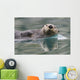Sea Otter Swimming In Glassy Calm Green Water With Reflection Wall Mural