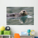 Sea Otter Swimming In Glassy Calm Green Water With Reflection Wall Mural