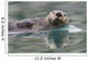 Sea Otter Swimming In Glassy Calm Green Water With Reflection Wall Mural
