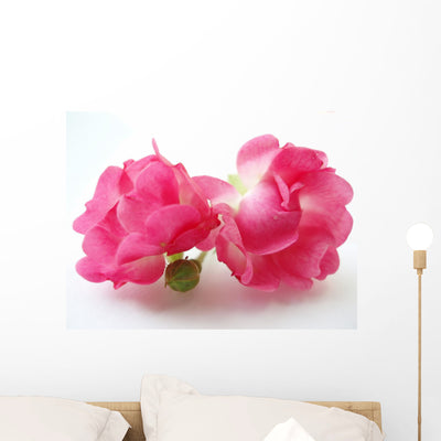 Pink Roses Wall Decal shown on a wall