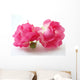 pink roses Wall Decal
