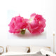 pink roses Wall Decal