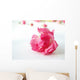 pink rose Wall Mural