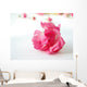 pink rose Wall Mural