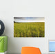 View Of Coastal Grasses Wall Mural