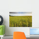 View Of Coastal Grasses Wall Mural