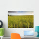 View Of Coastal Grasses Wall Mural