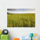 View Of Coastal Grasses Wall Mural