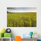 View Of Coastal Grasses Wall Mural