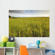 View Of Coastal Grasses Wall Mural