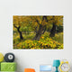 Cottonwood Trees And Devil's Club Turning Shades Of Yellow Wall Mural