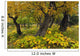 Cottonwood Trees And Devil's Club Turning Shades Of Yellow Wall Mural