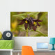 Up Chocolate Lily Blooms Wall Mural