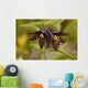 Up Chocolate Lily Blooms Wall Mural