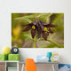 Close Up Of Chocolate Lily Blooms Wall Mural