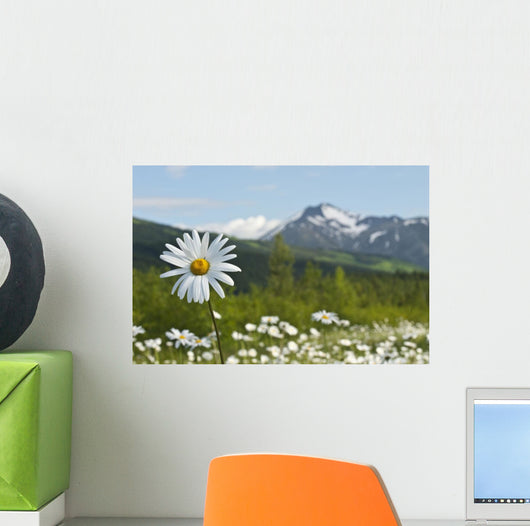 Up Chocolate Lily Blooms Wall Decal