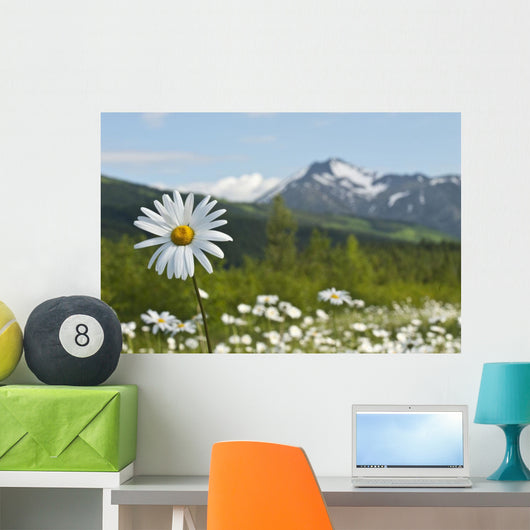Up Chocolate Lily Blooms Wall Decal