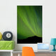 View Of The Aurora Borealis Dancing Over The Noatak River Wall Mural