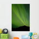 View Of The Aurora Borealis Dancing Over The Noatak River Wall Mural