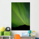 View Of The Aurora Borealis Dancing Over The Noatak River Wall Mural