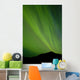 View Of The Aurora Borealis Dancing Over The Noatak River Wall Mural