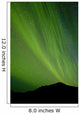 View Of The Aurora Borealis Dancing Over The Noatak River Wall Mural