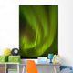 View Of Aurora Borealis Dancing Above Noatak River Wall Mural