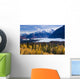 View Of Matanuska Glacier With Golden Autumnal Aspen Trees Wall Mural