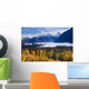 View Of Matanuska Glacier With Golden Autumnal Aspen Trees Wall Mural